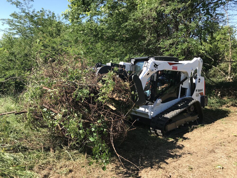 Storm Damage Cleanup