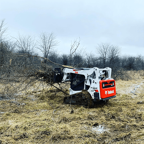 Tree-Brush and Storm Cleanup