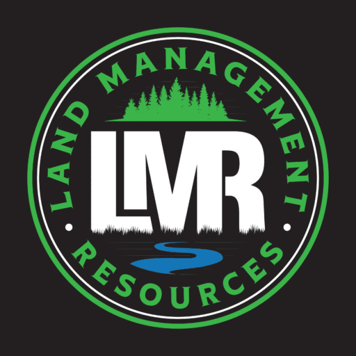 LMR Logo